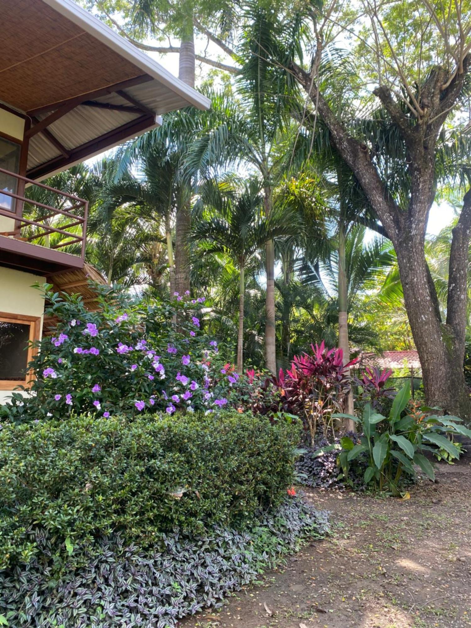 Jazlyn Lodge & Tours Paquera Exterior foto
